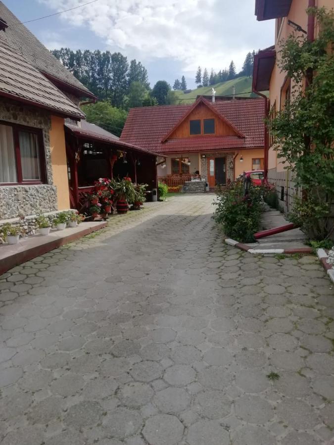 Hôtel Vila Ovi à Bran  Extérieur photo
