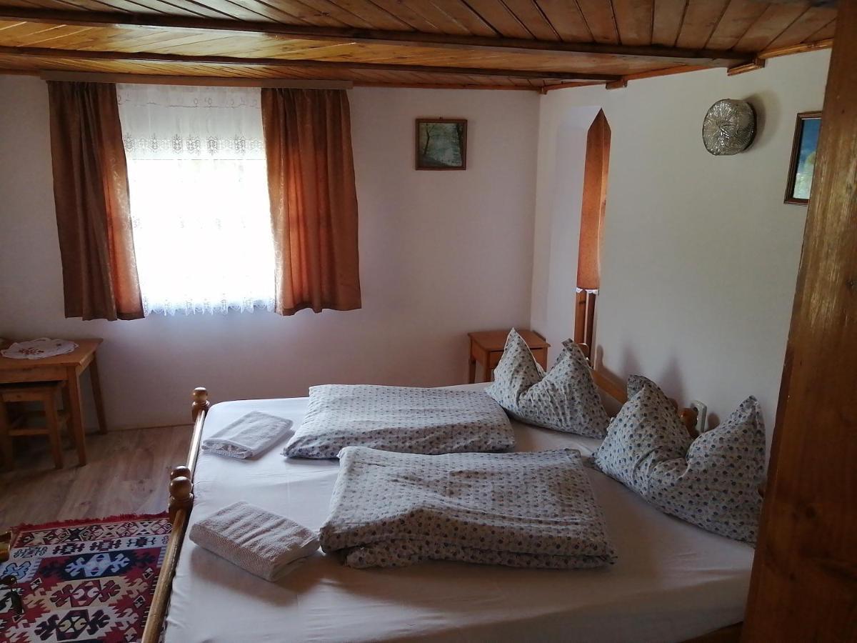 Hôtel Vila Ovi à Bran  Extérieur photo