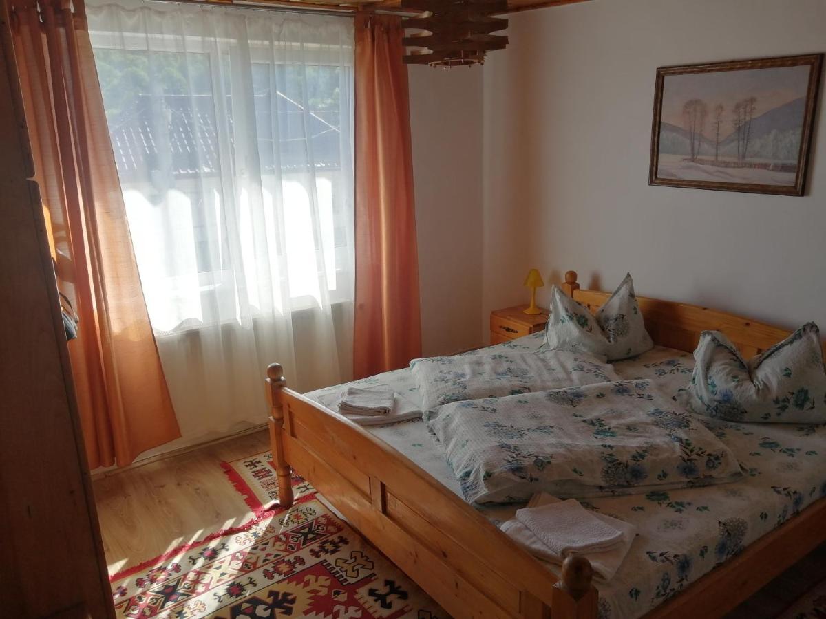 Hôtel Vila Ovi à Bran  Extérieur photo
