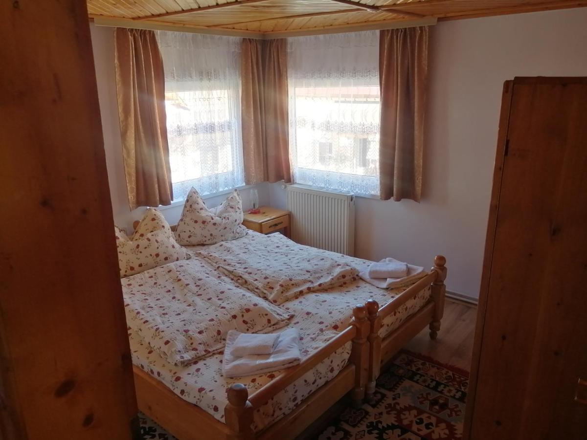 Hôtel Vila Ovi à Bran  Extérieur photo