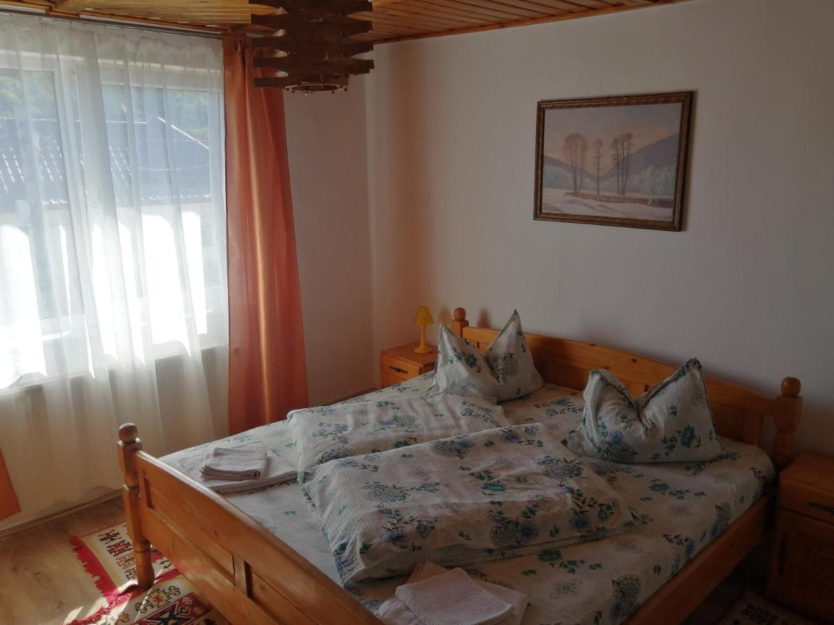 Hôtel Vila Ovi à Bran  Extérieur photo