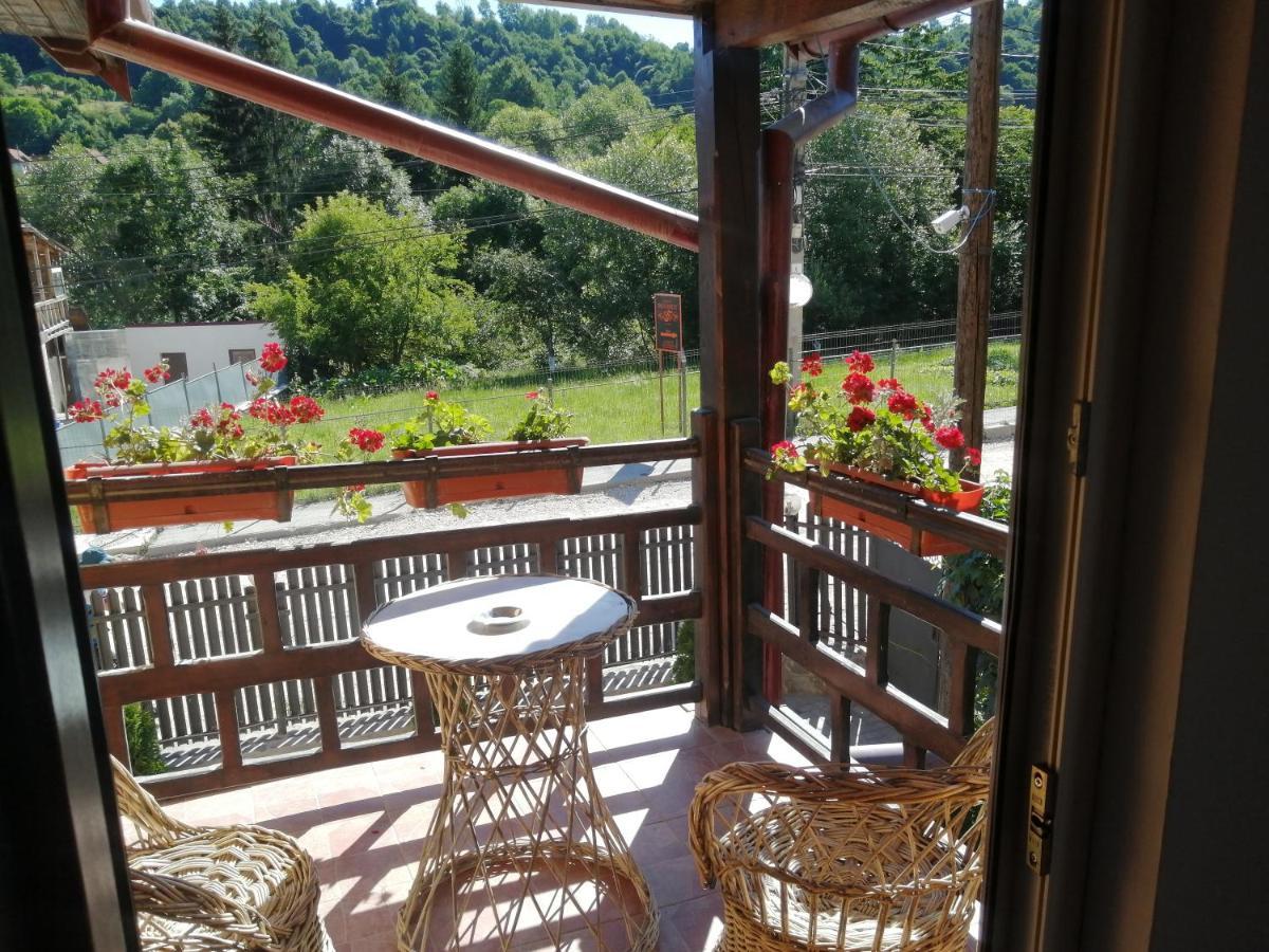 Hôtel Vila Ovi à Bran  Extérieur photo